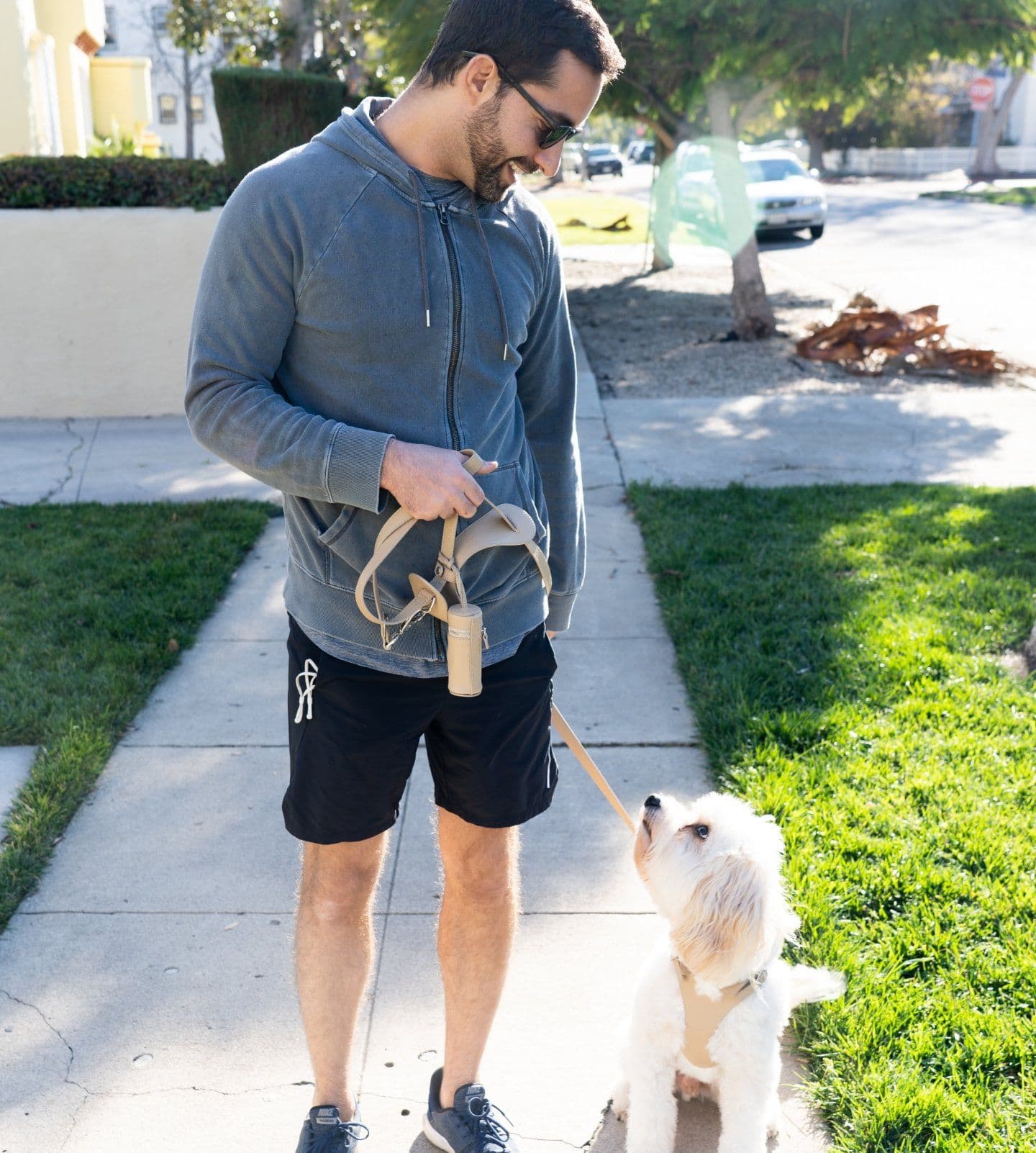 Canine Theory dog training on leash